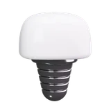 Dental Implant Tooth Dentistry Prosthesis Dental Care
